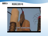 16.2　串、并联电路中电压的规律（课件）-初中物理人教版（2024）九年级全册