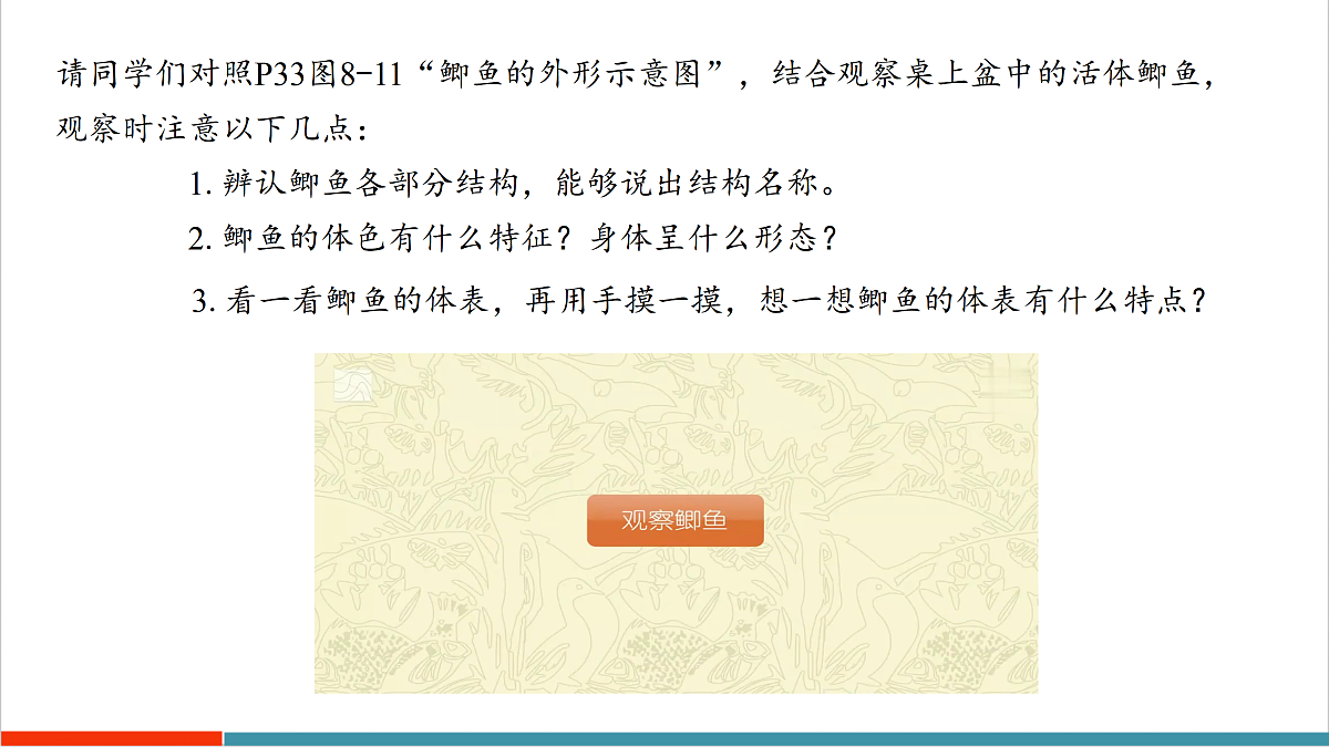 8.2 脊椎动物（第1课时）（课件）第8页