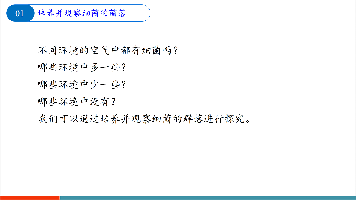 9.1 病毒与细菌（第2课时）第7页