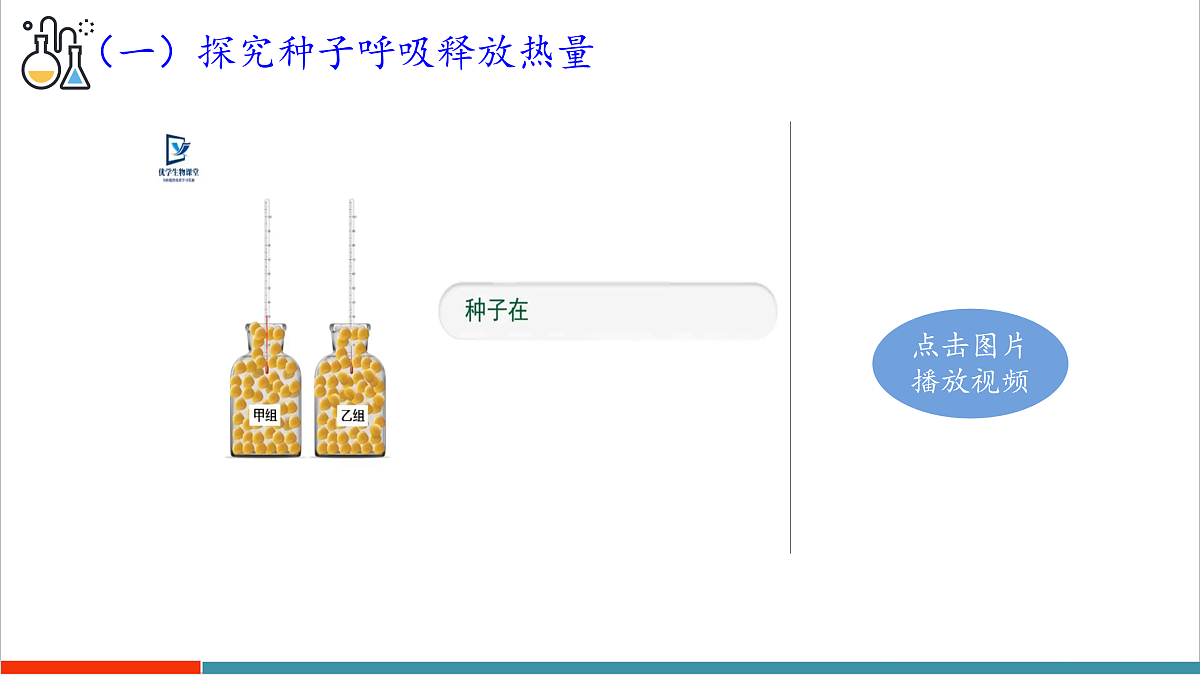 12.2 植物维持生物圈中的碳氧平衡（第2课时）第7页