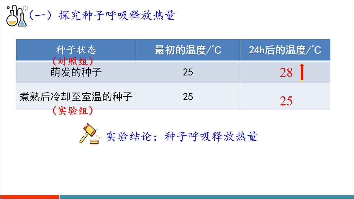 12.2 植物维持生物圈中的碳氧平衡（第2课时）第8页