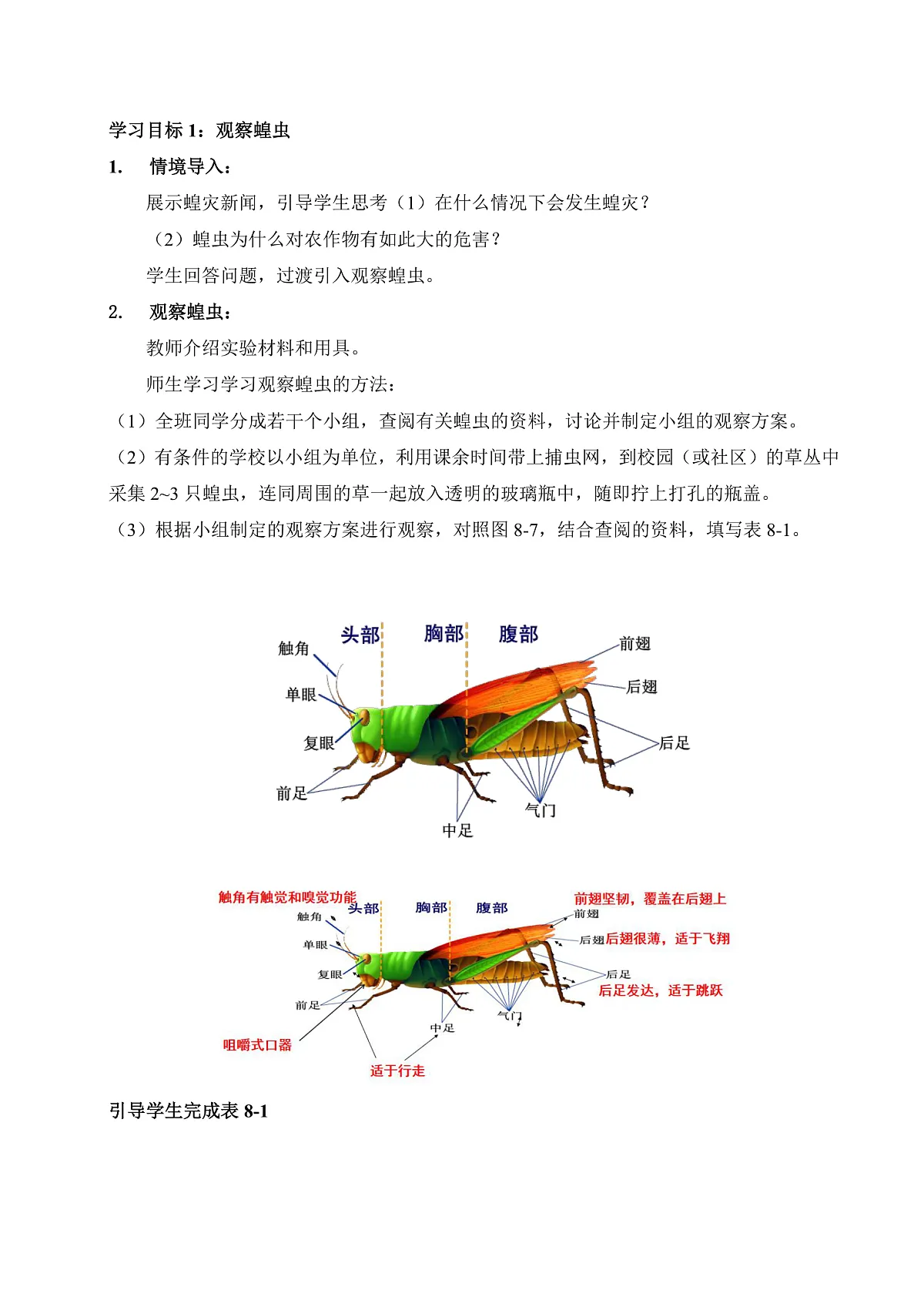 8.1 无脊椎动物（第2课时）（教学设计）第2页
