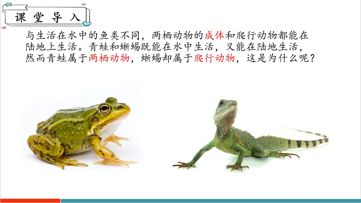 8.2 脊椎动物（第2课时）（课件）第4页