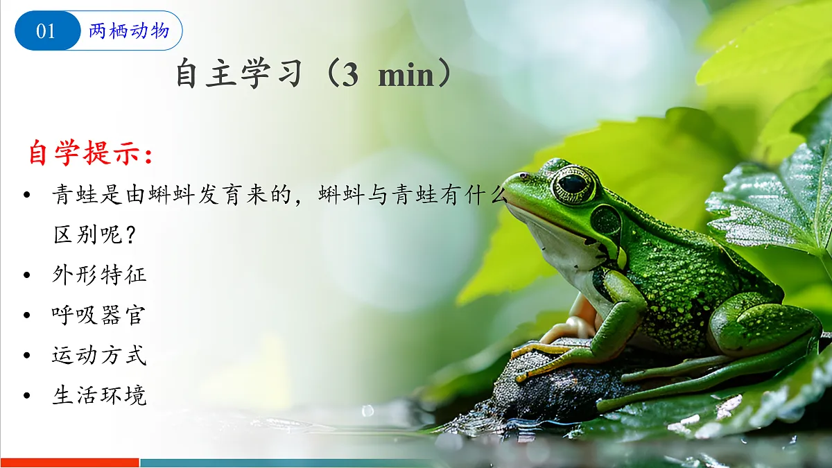 8.2 脊椎动物（第2课时）（课件）第5页