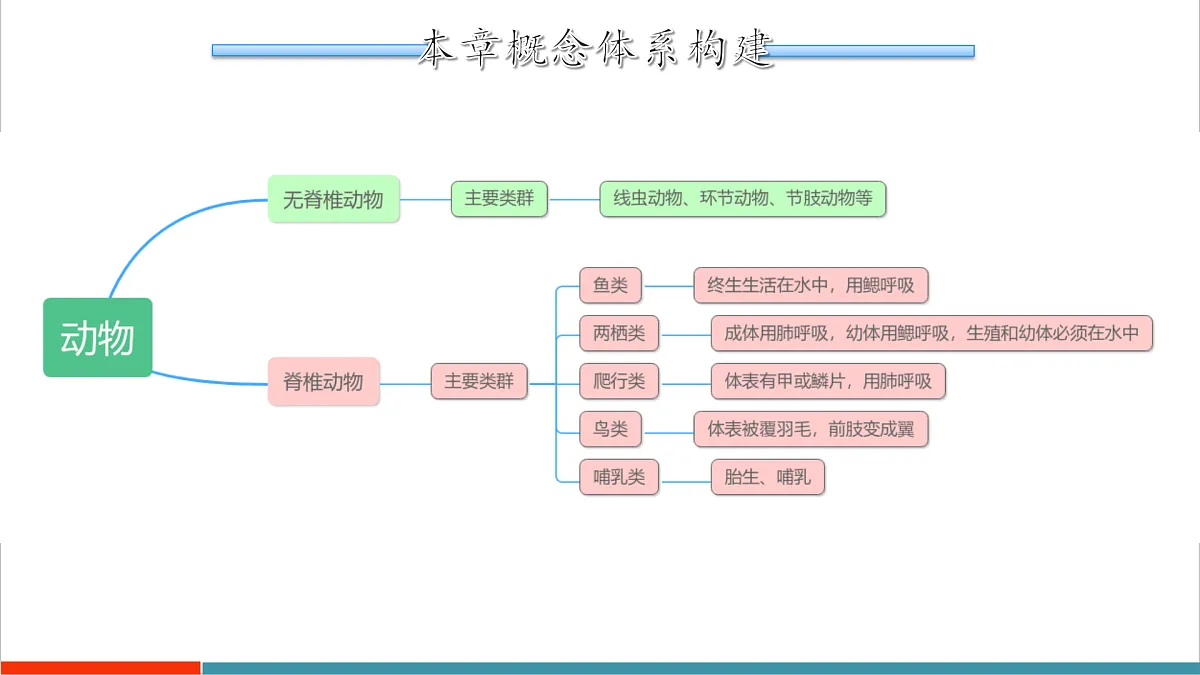 第8章 动物的主要类群（复习课件）第2页