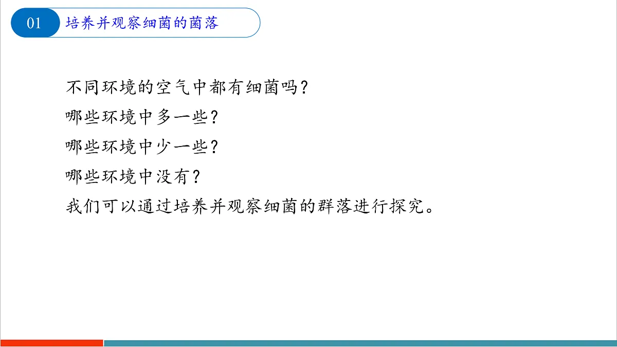 9.1 病毒与细菌（第2课时）第7页