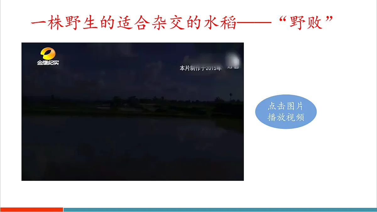 10.1 认识生物多样性第5页