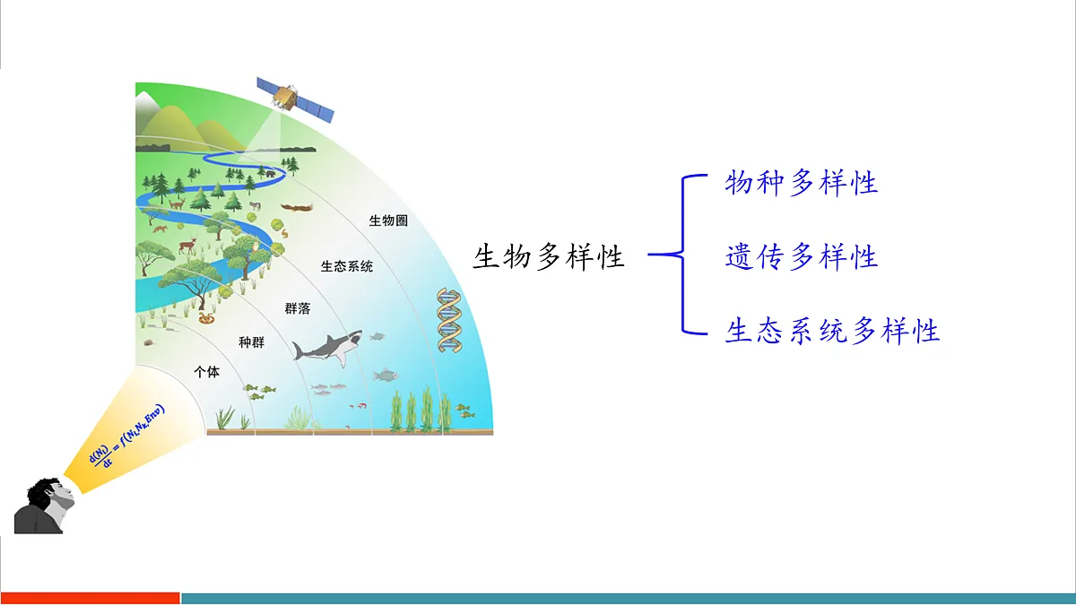 10.1 认识生物多样性第7页