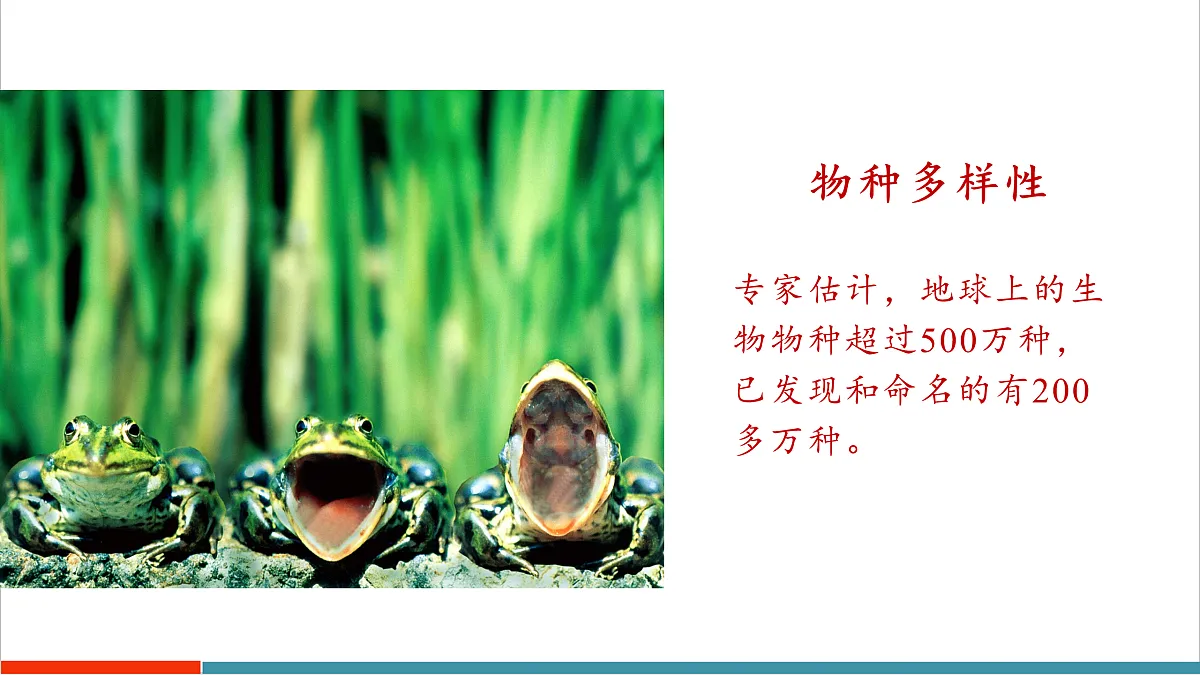 10.1 认识生物多样性第8页