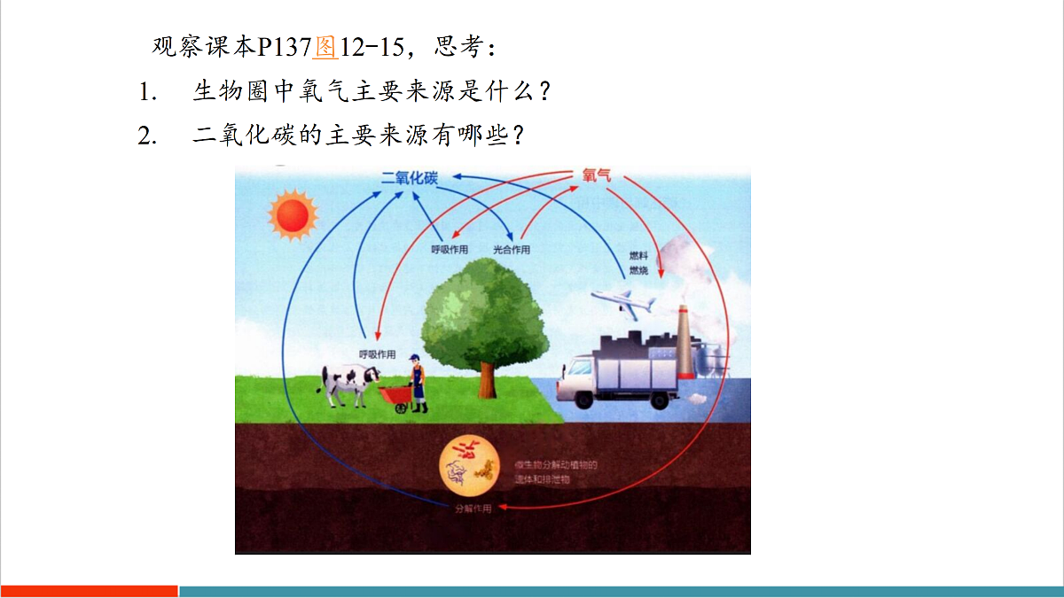 12.2 植物维持生物圈中的碳氧平衡（第3课时）第6页