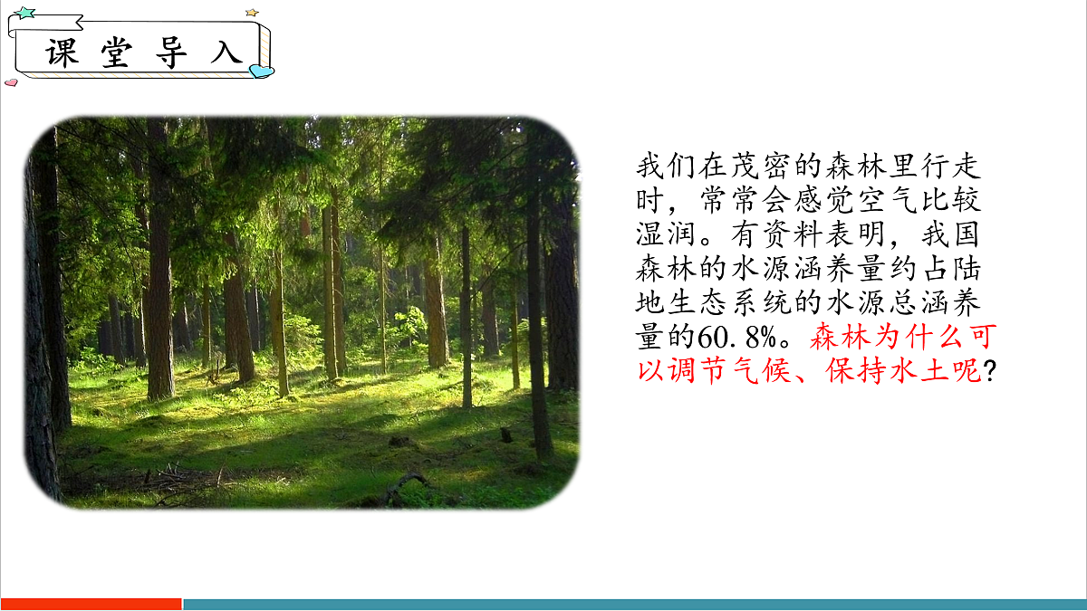 12.3 植物参与生物圈中的水循环第4页