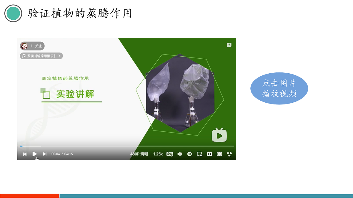 12.3 植物参与生物圈中的水循环第7页