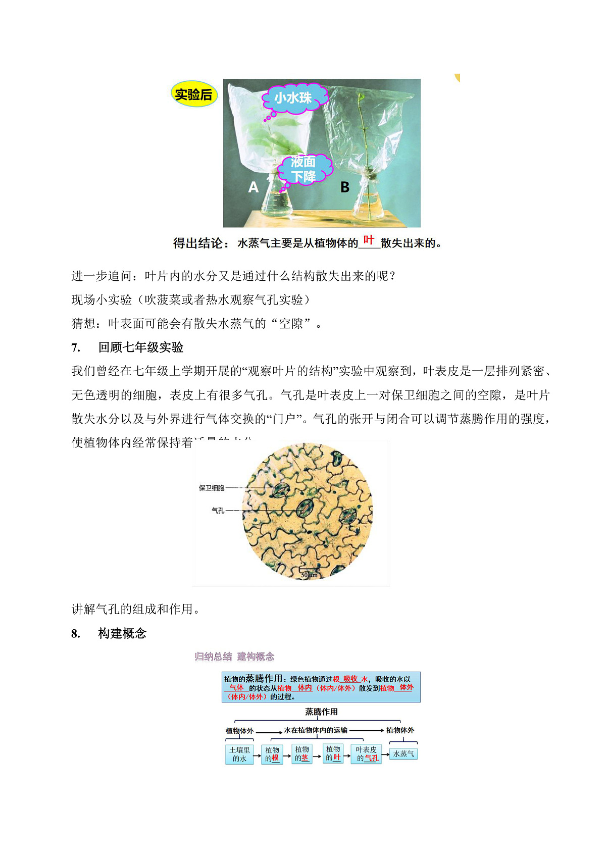 12.3 植物参与生物圈中的水循环（教学设计）第3页