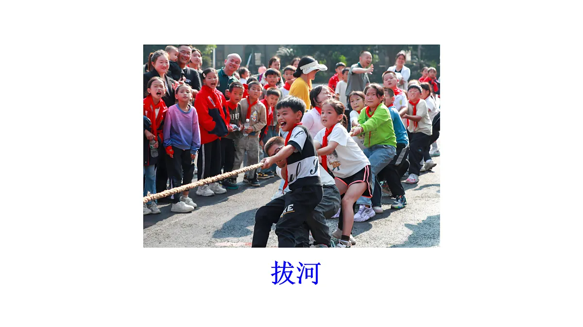 17432166第4页