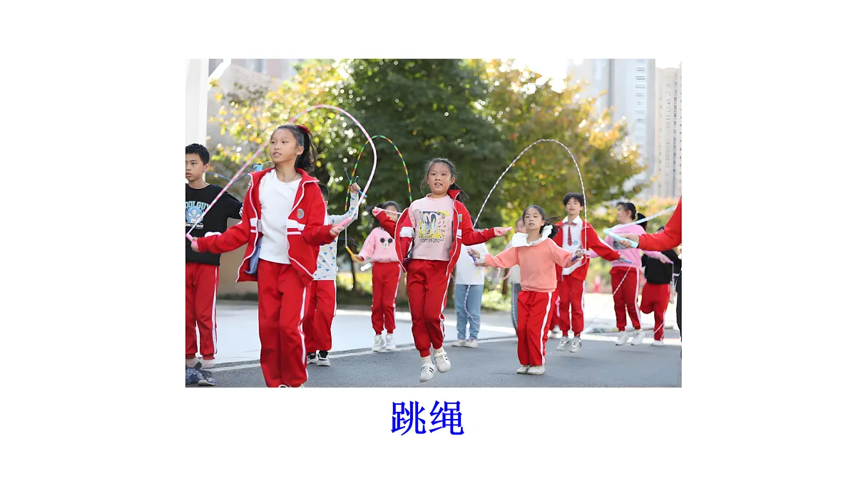 17432166第6页