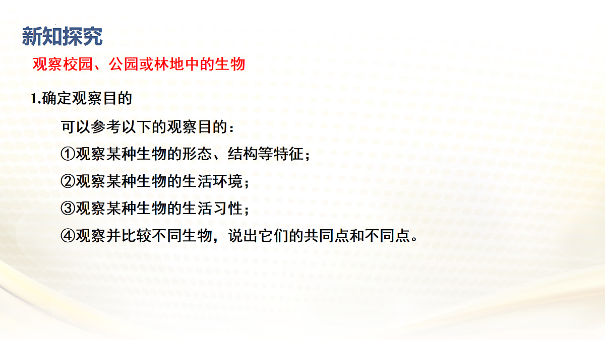 17432300第5页