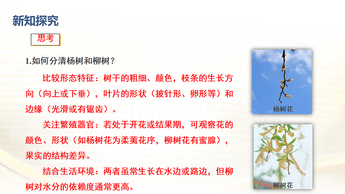 17432300第7页
