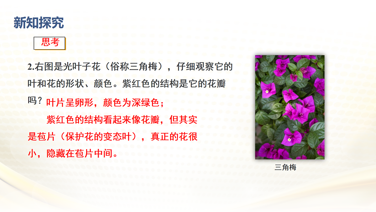 17432300第8页