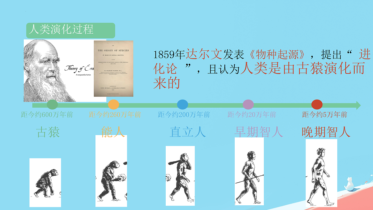 17432302第4页