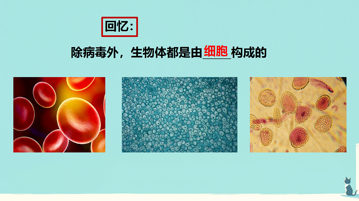 17432304第3页