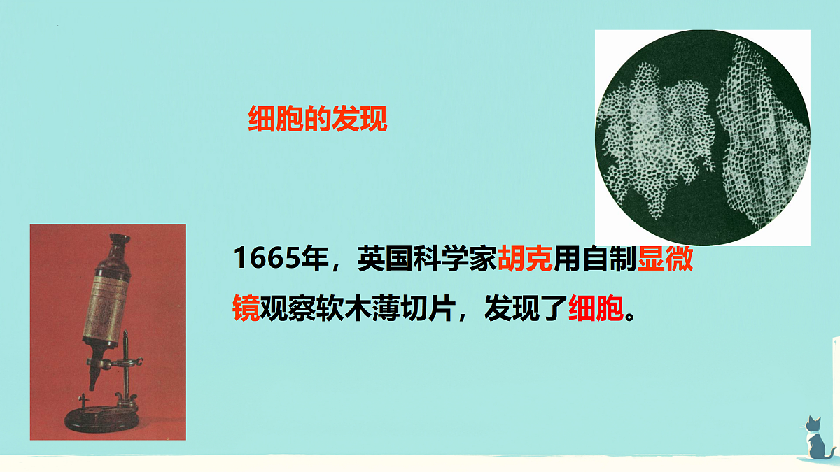17432304第4页