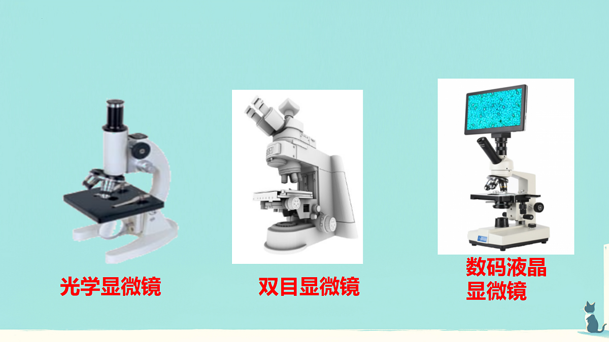 17432304第5页