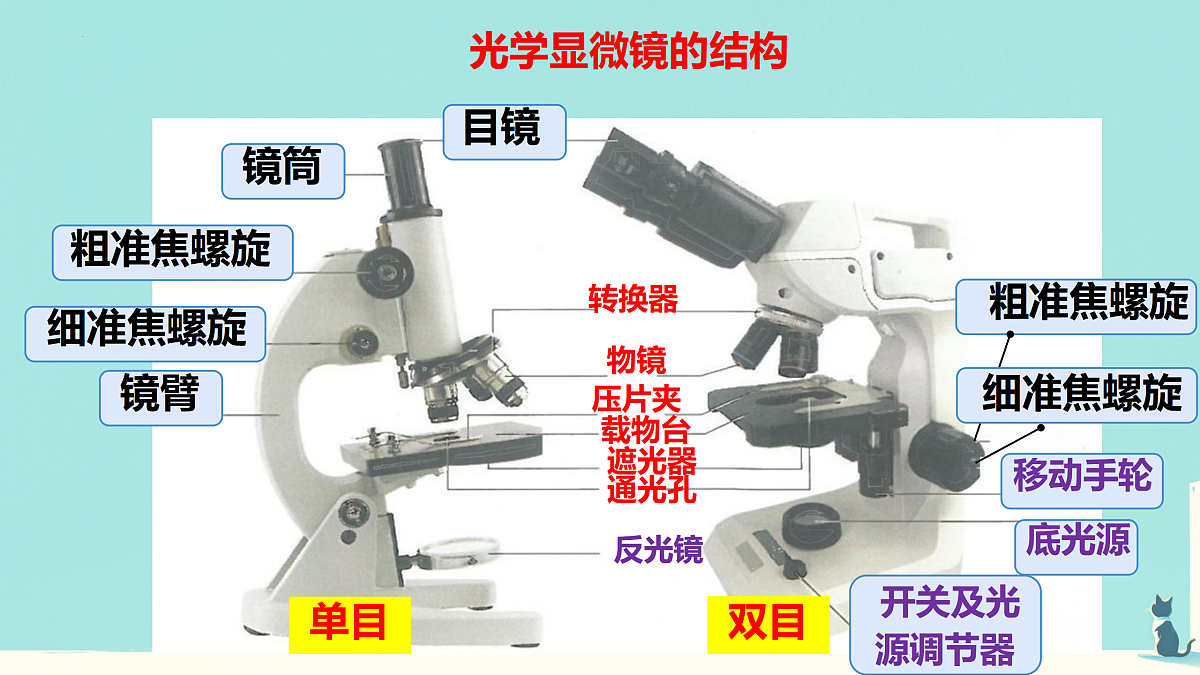 17432304第7页
