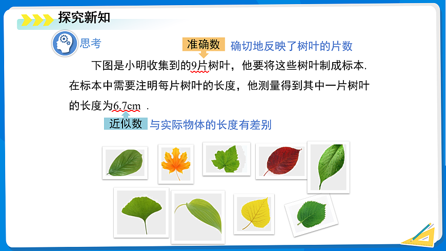 17432311第3页