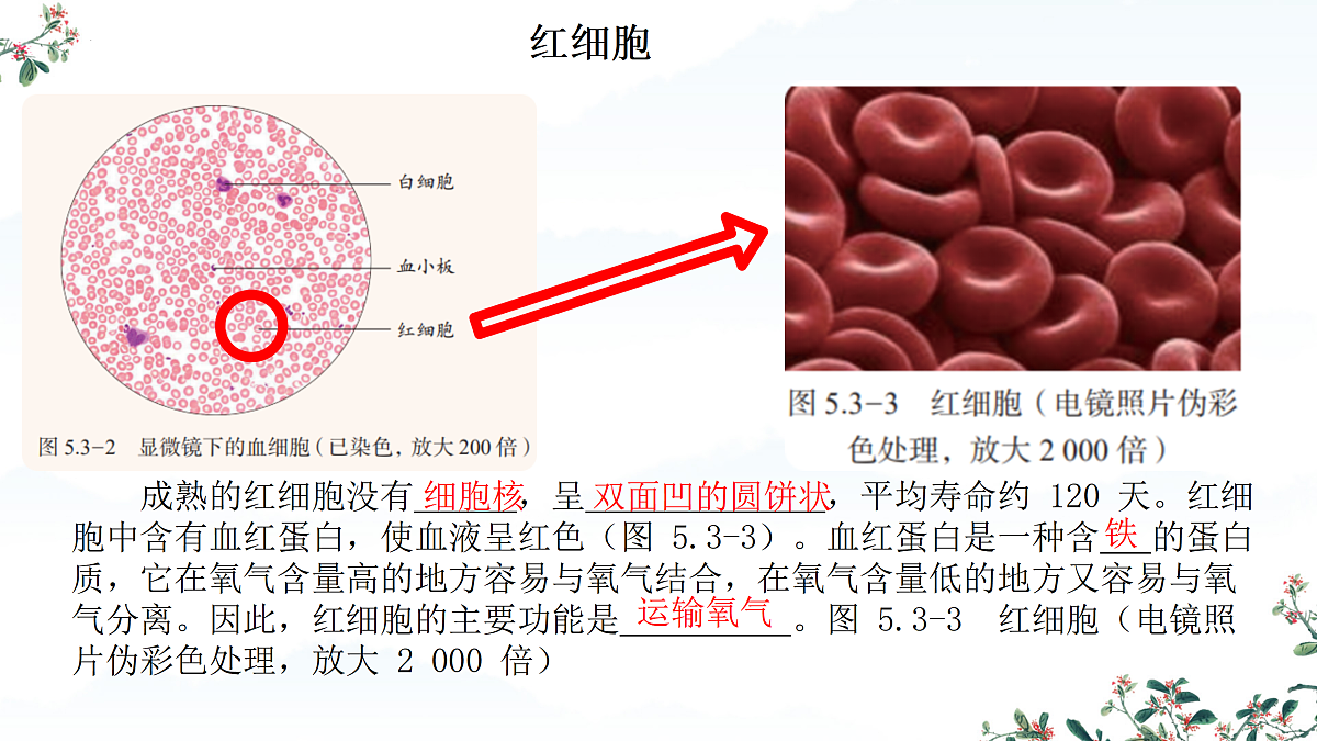 17432323第7页