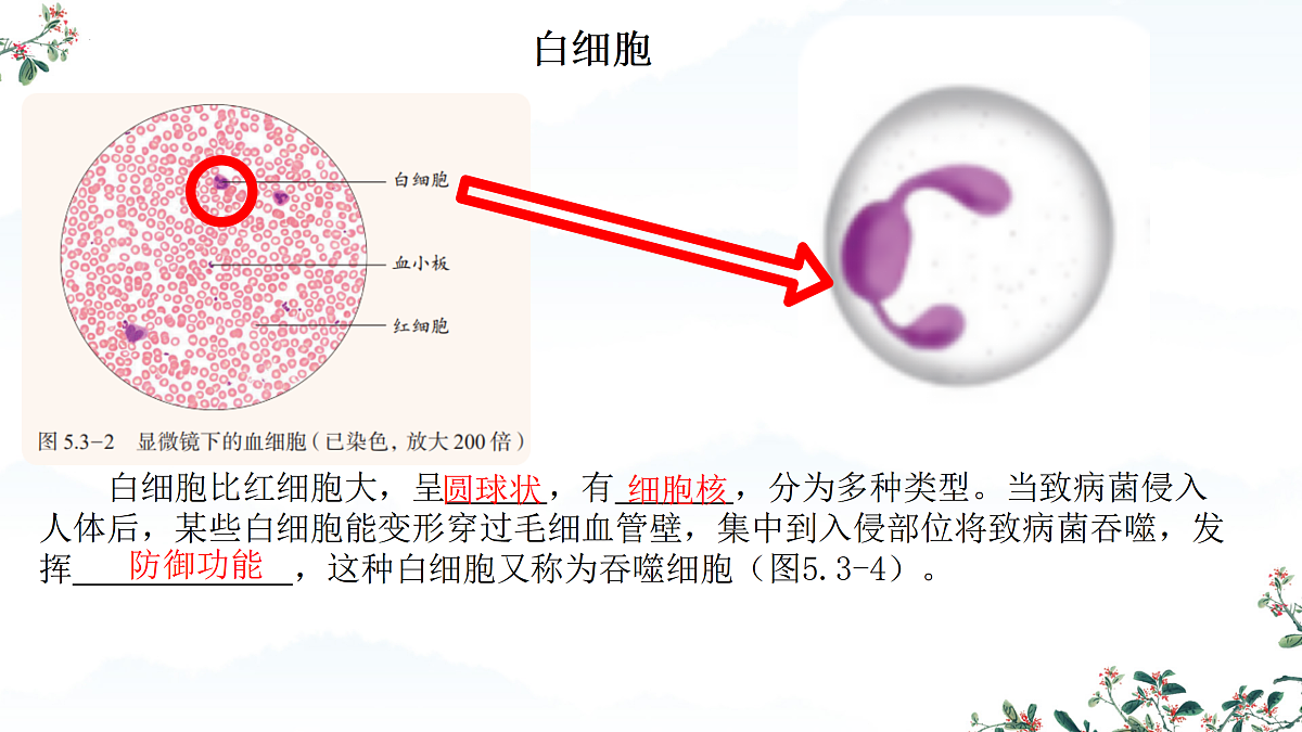 17432323第8页