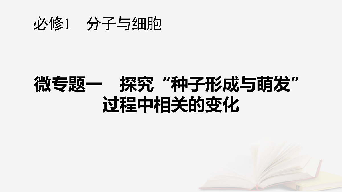 17432331第1页