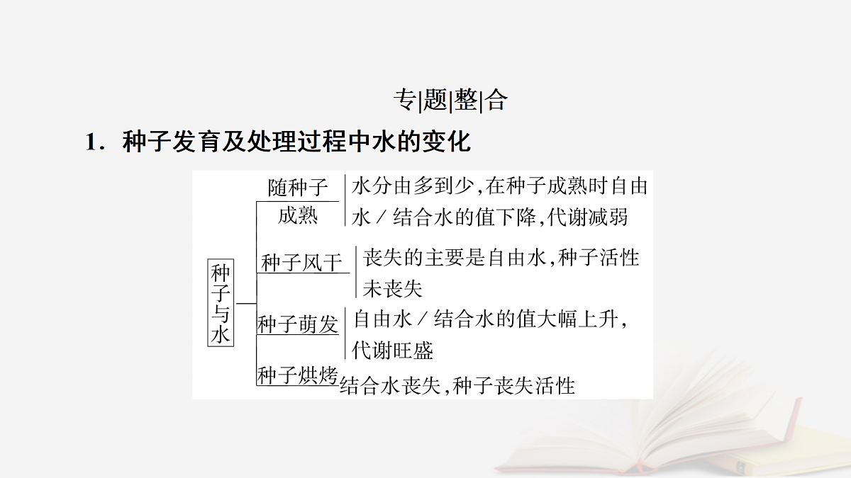 17432331第2页