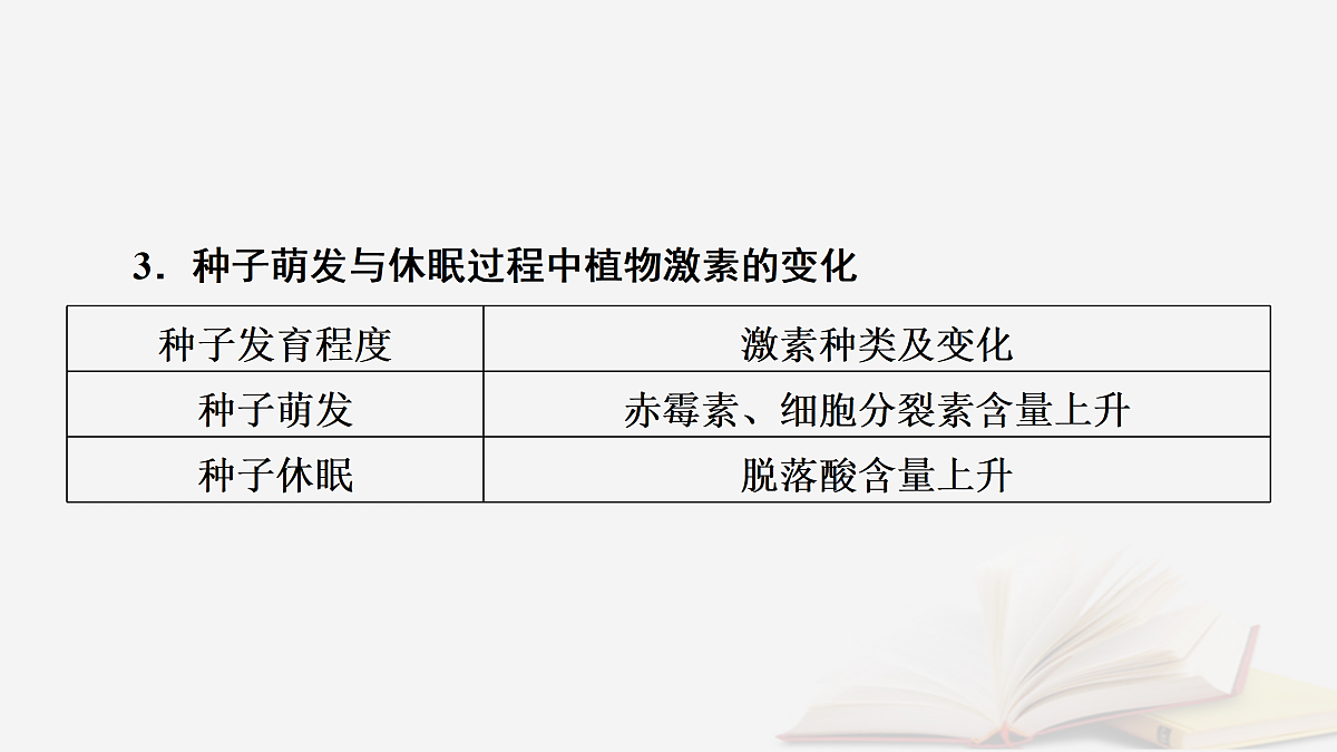 17432331第4页
