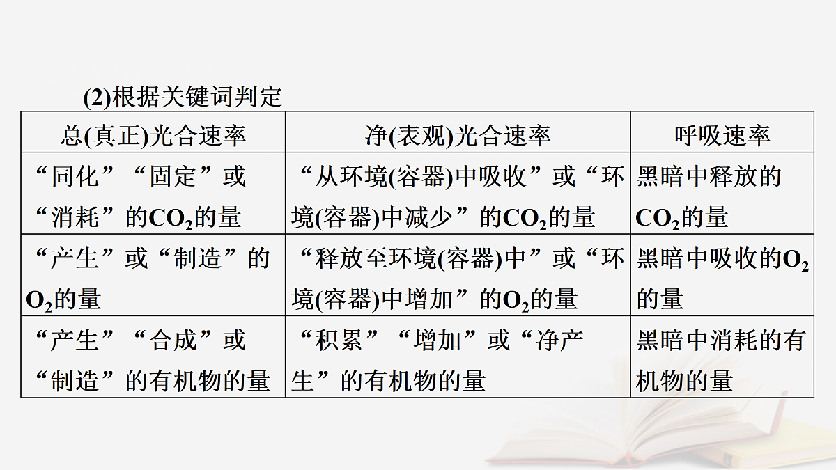 17432332第3页
