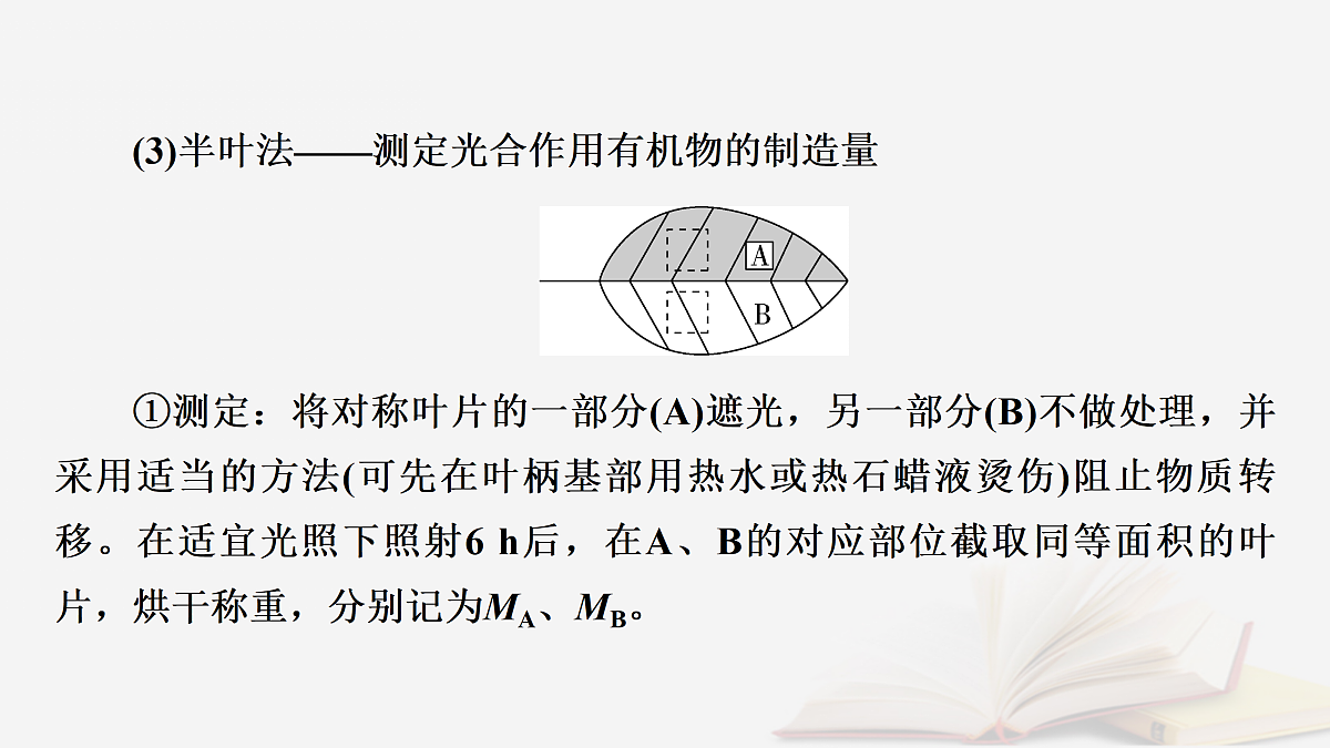 17432332第7页