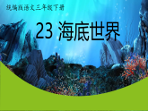 统编版三年级下册语文23海底世界课件