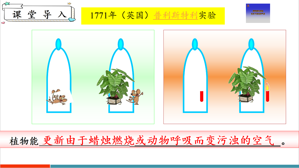 12.2 植物维持生物圈中的碳氧平衡（第1课时）第4页