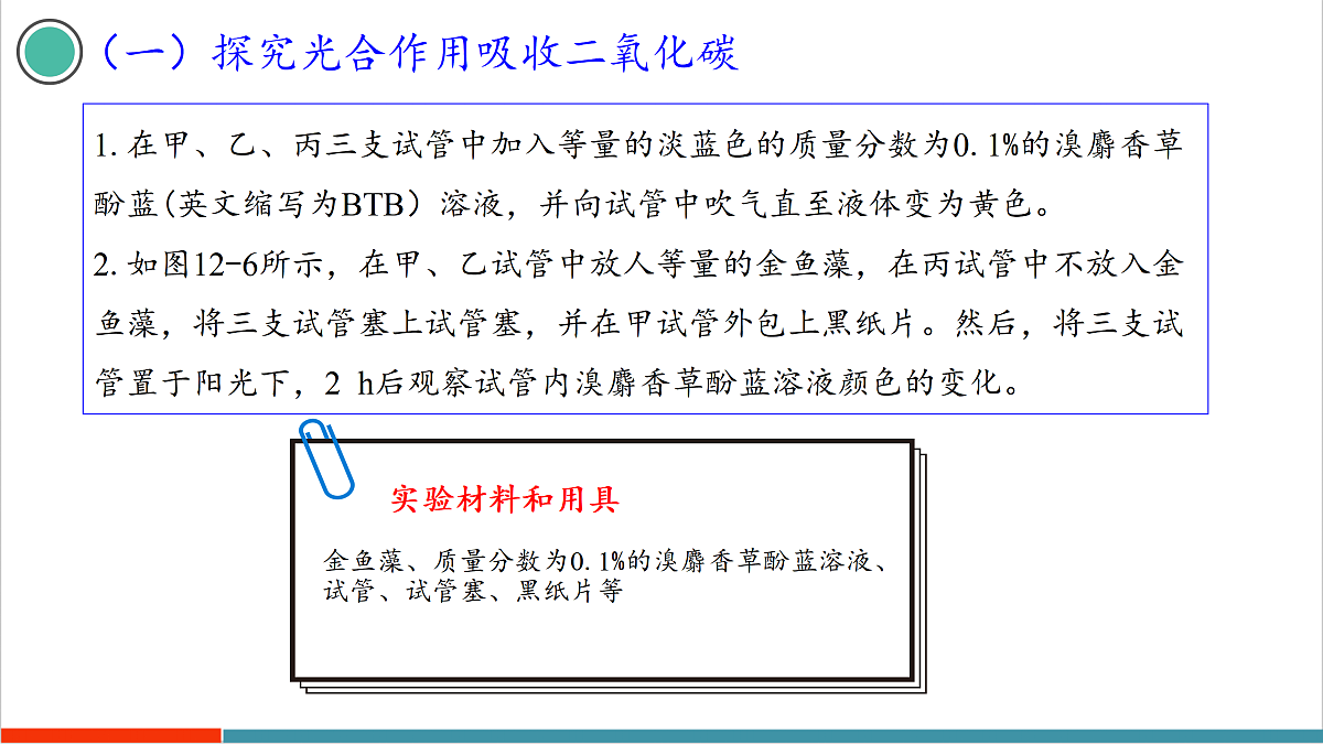 12.2 植物维持生物圈中的碳氧平衡（第1课时）第6页