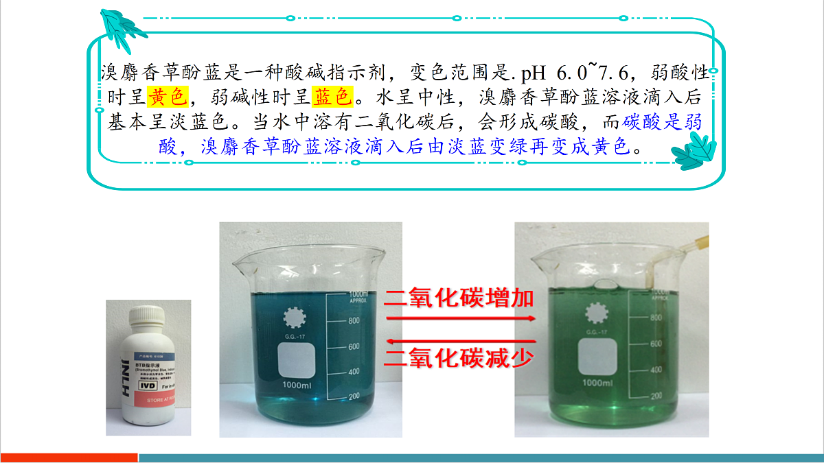 12.2 植物维持生物圈中的碳氧平衡（第1课时）第7页