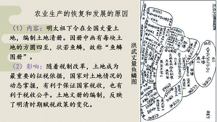 17432506第4页