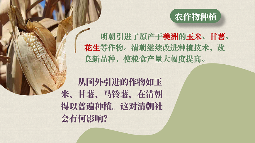 17432506第7页