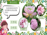 2.1《花花草草》课件-人美版小学美术一年级下册