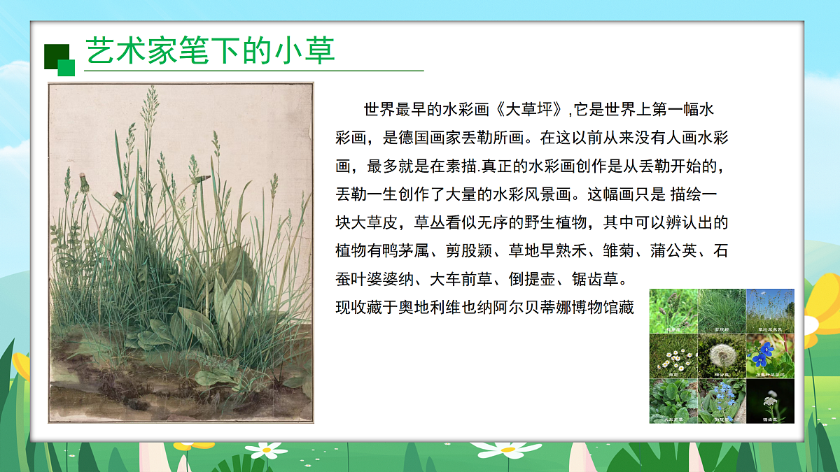 16草本说第6页