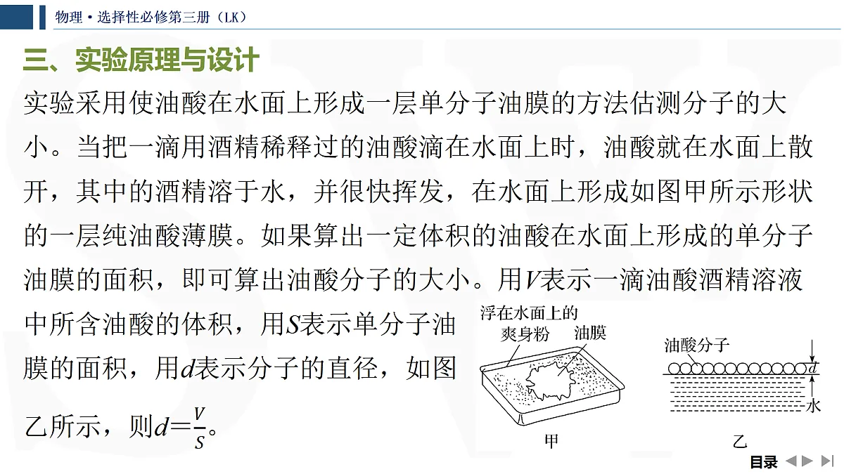 17433049第5页