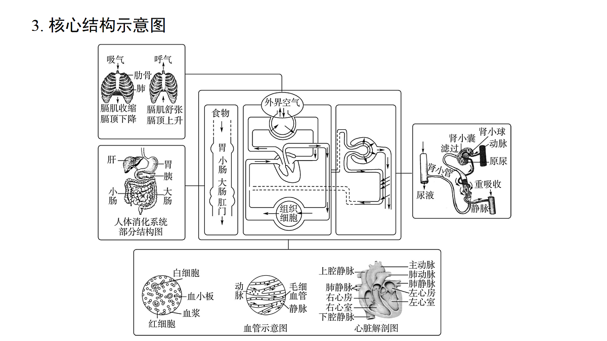 17433135第7页