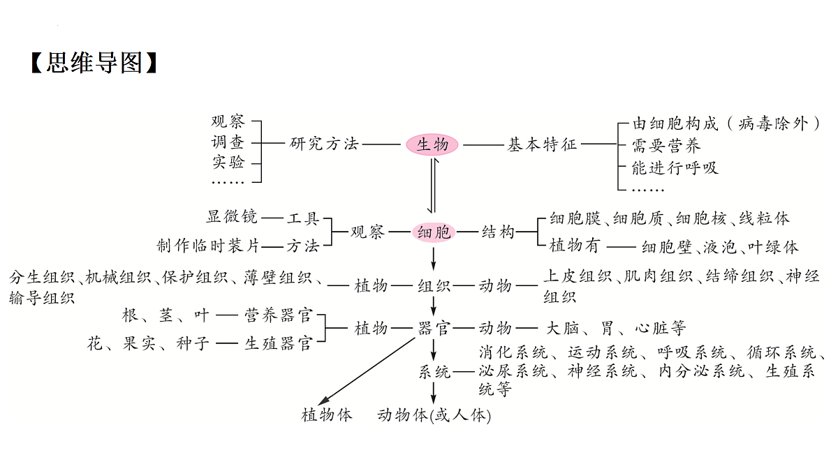 17433138第2页