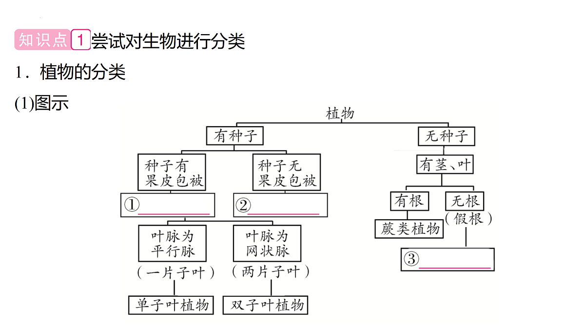 17433142第3页