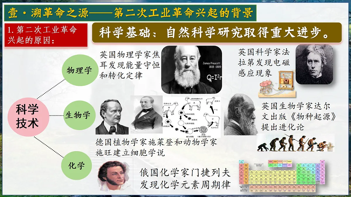 17433571第7页