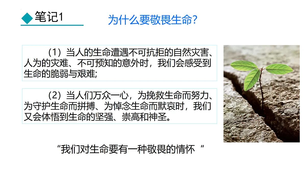 17433795第5页