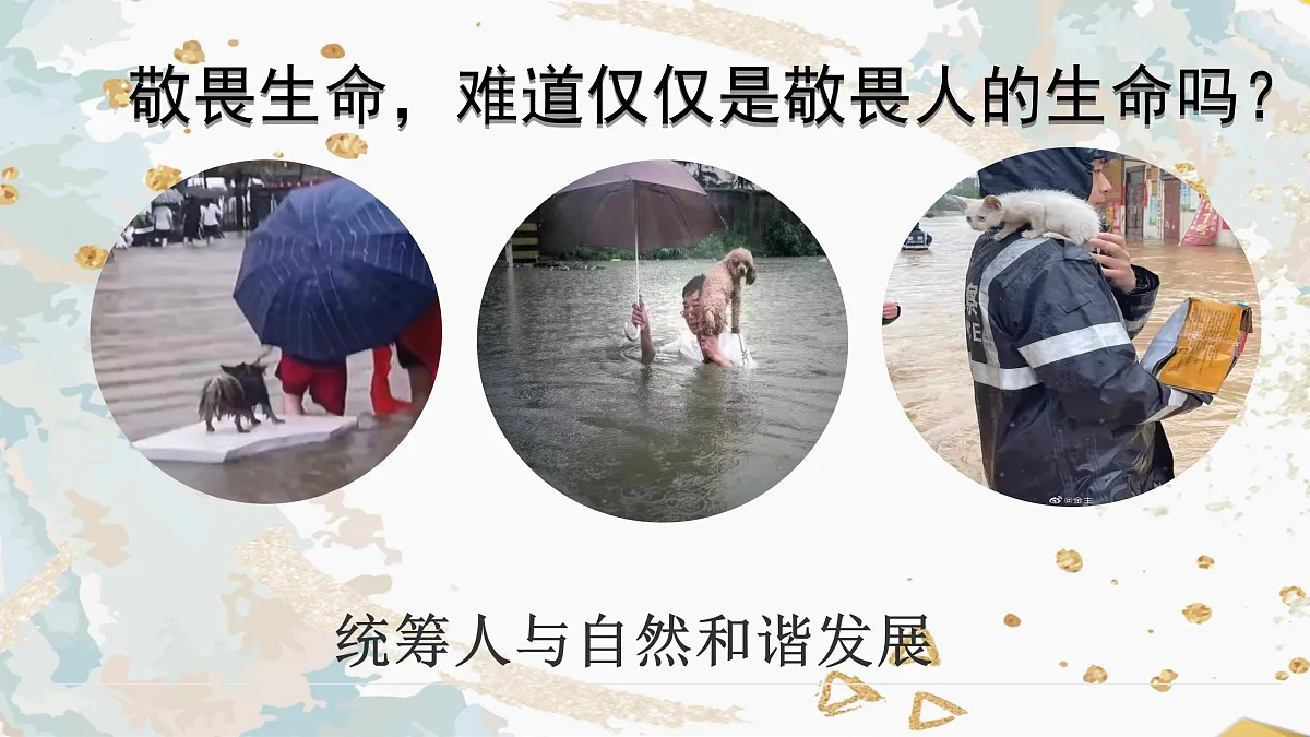 17433795第8页